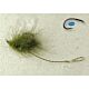 Carlige Strategy A1 Super Fuzz Weed Nr.6   5/pac