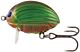 Vobler Salmo Lil Bug 3cm 4.3g Green Bug