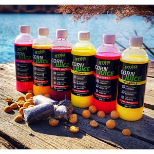 STEG CORN JUICE 500ML